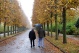bilder/thimg_4650.jpg