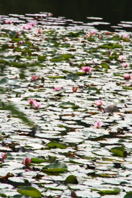 bilder/img_1098.jpg