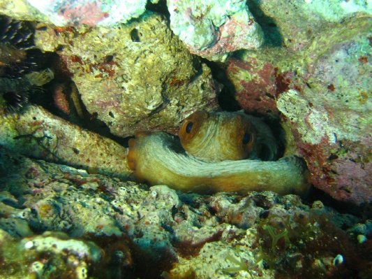bilder/kroatien_28.jpg