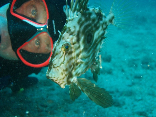 bilder/kroatien_34.jpg