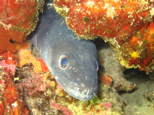 bilder/kroatien_55.jpg
