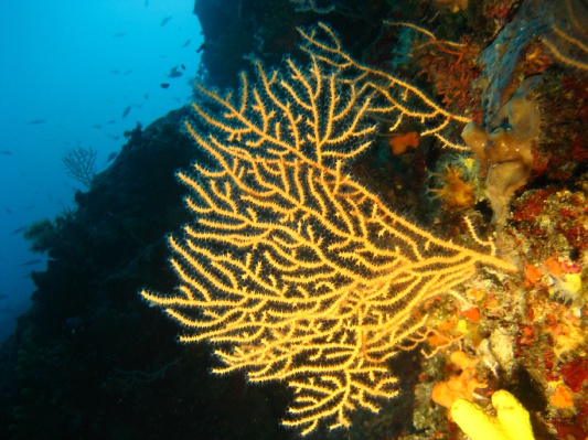 bilder/kroatien_56.jpg