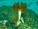 bilder/thkroatien_10.jpg