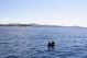 bilder/thkroatien_11.jpg