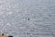 bilder/thkroatien_21.jpg