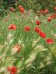 bilder/tn_provence_05.jpg