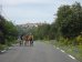 bilder/tn_provence_06.jpg