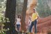 bilder/tn_provence_22.jpg