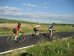 bilder/tn_provence_24.jpg