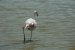 bilder/tn_provence_31.jpg