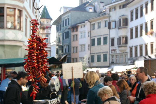 bilder/img_6835.jpg