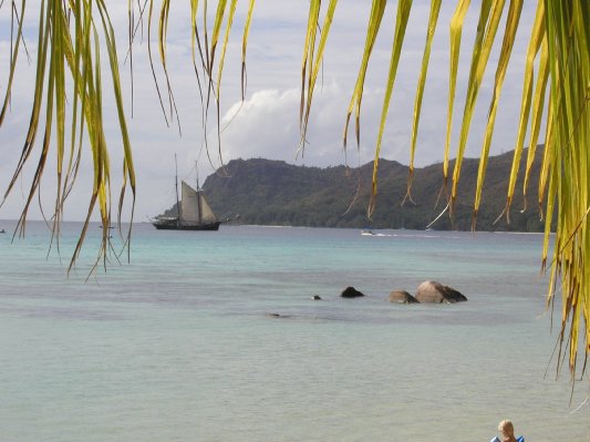 bilder/10_praslin_44.jpg