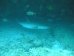 bilder/tn_05_curieuse_20.jpg