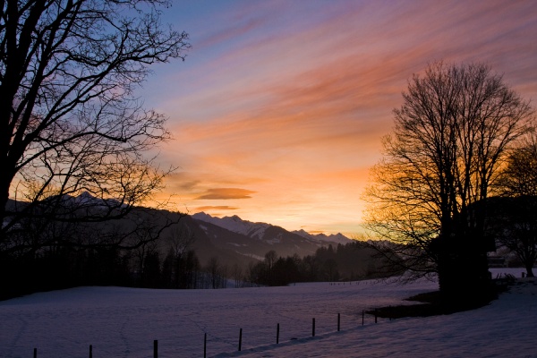 bilder/pesbichl08_04.jpg