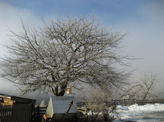 bilder/pesbichl08_05.jpg
