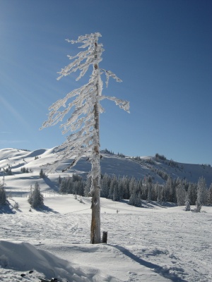 bilder/pesbichl08_17.jpg