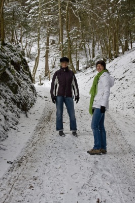 bilder/pesbichl08_28.jpg
