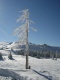 bilder/thpesbichl08_17.jpg