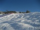 bilder/thpesbichl08_23.jpg