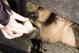 bilder/thpesbichl08_37.jpg