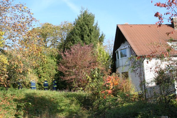 bilder/img_6353.jpg