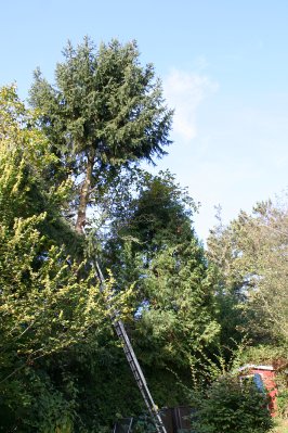 bilder/img_6407.jpg
