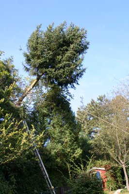 bilder/img_6409.jpg