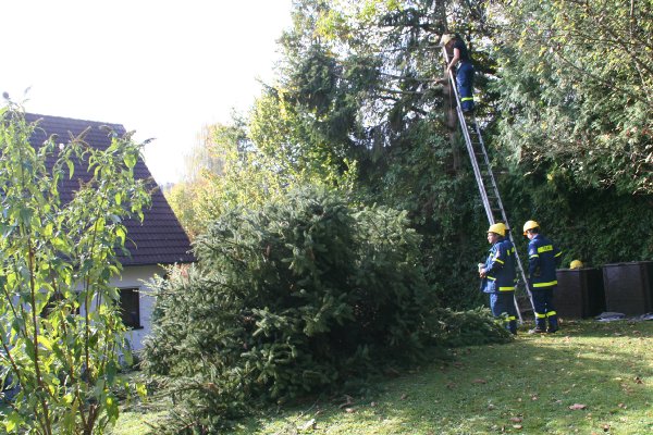 bilder/img_6419.jpg