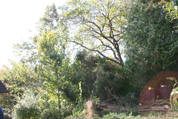 bilder/img_6450.jpg