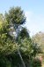 bilder/tn_img_6407.jpg