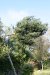bilder/tn_img_6410.jpg