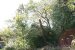 bilder/tn_img_6448.jpg
