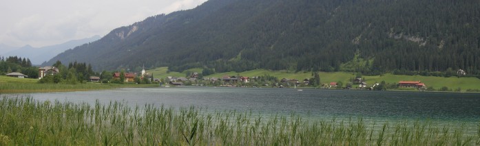 bilder/1_weissen_06.jpg