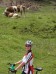 bilder/tn_1_weissen_20.jpg