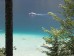 bilder/tn_1_weissen_29.jpg