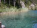 bilder/tn_1_weissen_36.jpg